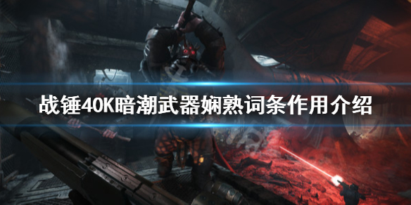 《战锤40K暗潮》武器娴熟词条有什么作用？武器娴熟词条作用介绍