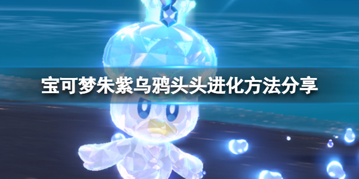 《宝可梦朱紫》乌鸦头头怎么进化？乌鸦头头进化方法分享