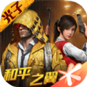 和平精英龙狮迎安装