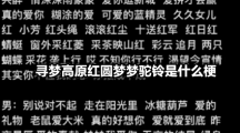 寻梦高原红圆梦梦驼铃是什么梗