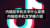 内娱捡手机文学什么意思-内娱捡手机文学梗介绍
