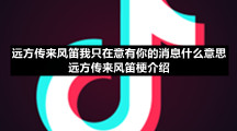远方传来风笛我只在意有你的消息什么意思-远方传来风笛梗介绍