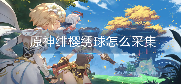 原神绯樱绣球怎么采集