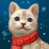 我的猫猫生活游戏