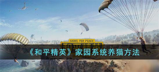 和平精英家园系统怎么养猫
