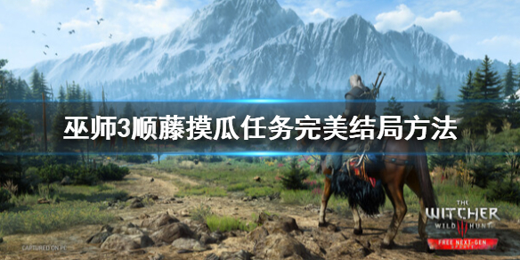 《巫师3次世代版》顺藤摸瓜结局怎么选？顺藤摸瓜任务完美结局方法