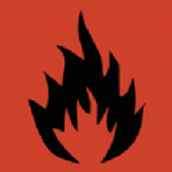 腐蚀生存国际服手机版下载安装