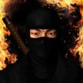 忍者的功夫贼厉害下载最新版