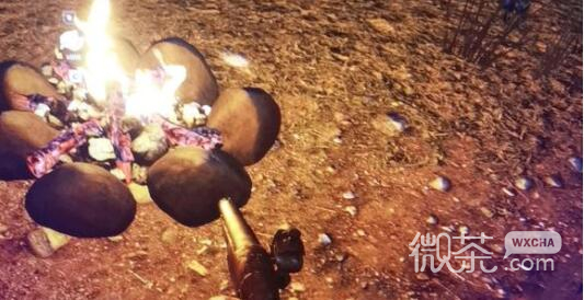 森林作弊码代码汇总