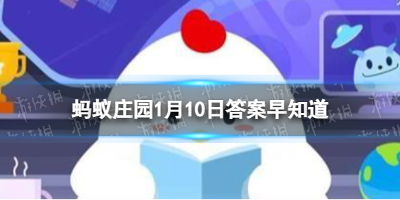 在路上遇到警灯闪亮、警报呼叫的特种车辆,应当-蚂蚁庄园1月10日答案早知道