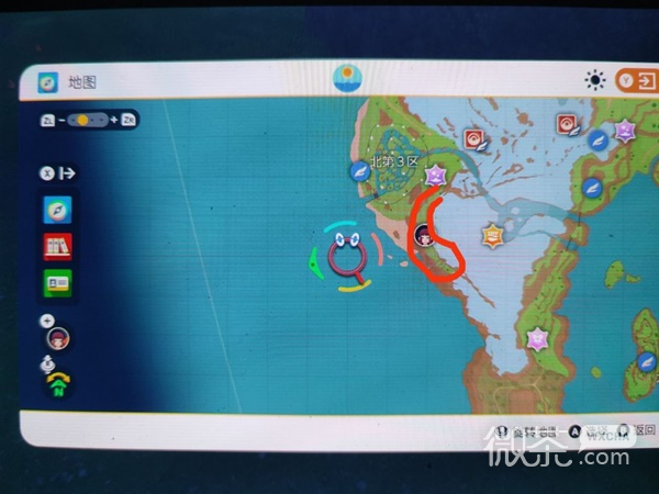 宝可梦朱紫布拨刷闪地点指南