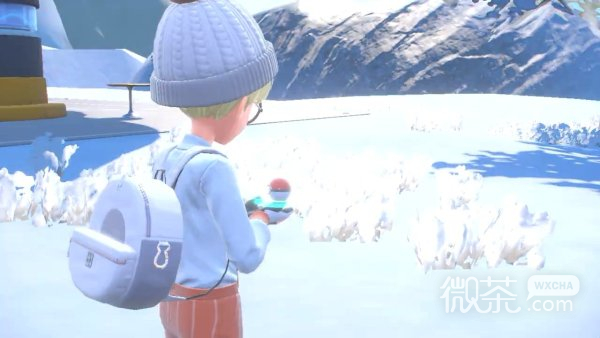 宝可梦：朱紫啃果虫刷闪位置一览