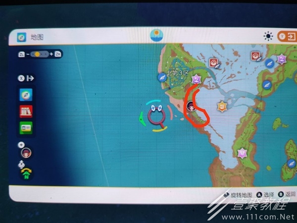 宝可梦朱紫布拨刷闪地点攻略