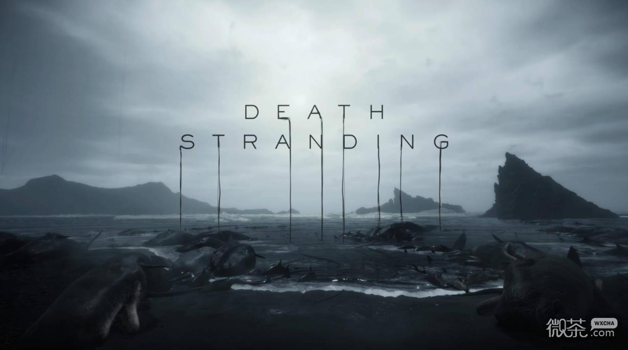 死亡搁浅全共享物品获赞数量详情