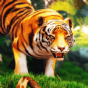 惊险世界大冒险正式版