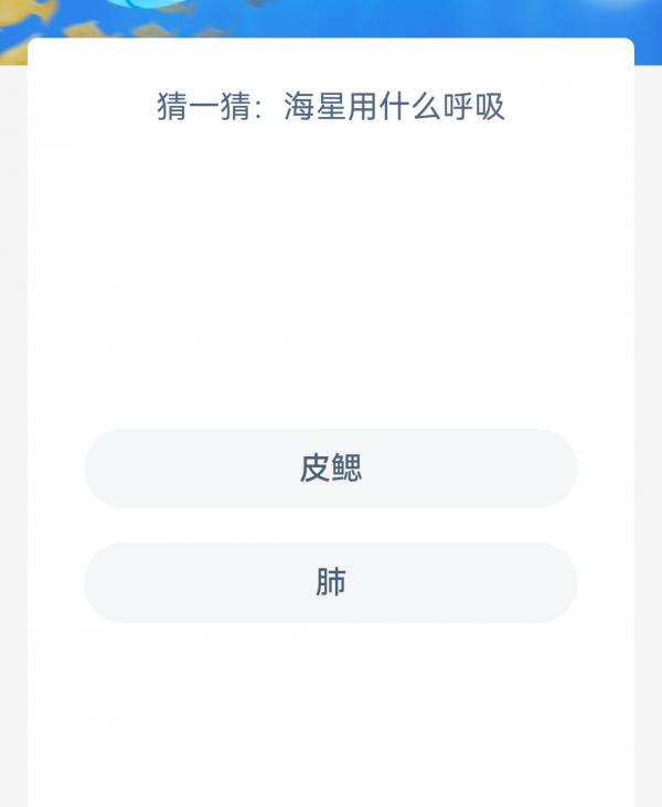 《支付宝》神奇海洋2023年1月12日答案最新