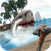 鲨鱼大冒险安装