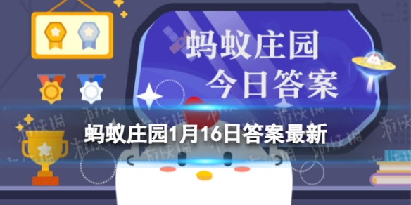 糍粑是国家级非物质文化遗产吗-北京烤鸭是非物质文化遗产吗