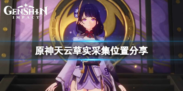 《原神》天云草实在哪采集？天云草实采集位置分享