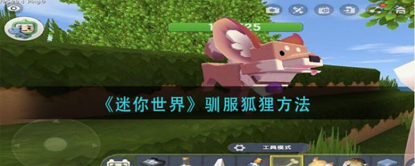 迷你世界如何驯服狐狸