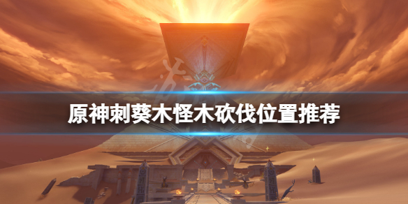 原神刺葵木在哪砍