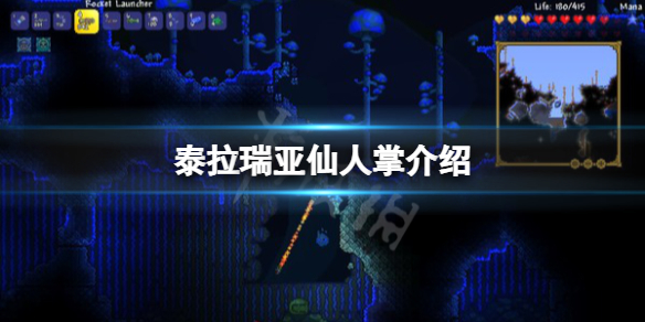 泰拉瑞亚仙人掌在哪