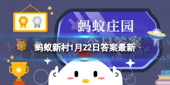 过年除旧迎新蚂蚁新村-除旧迎新收拾家中杂物