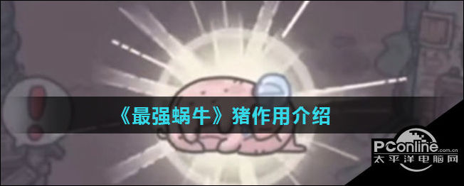 最强蜗牛游戏中猪有什么作用