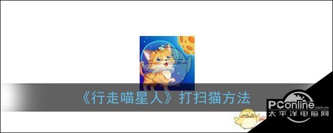 行走喵星人打扫猫方法