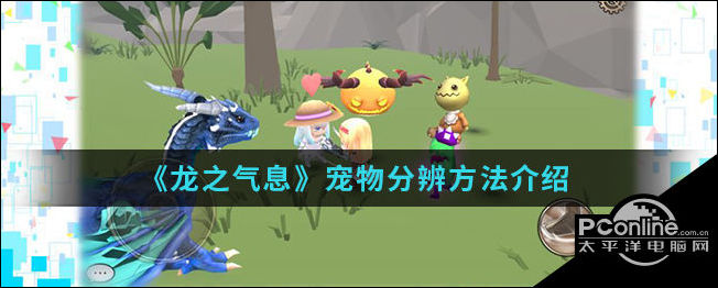 龙之气息手游中宠物怎么分辨