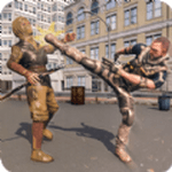 功夫突击队安装