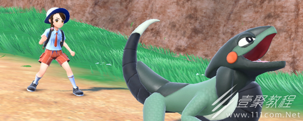 宝可梦朱紫技能机反射壁获取位置介绍