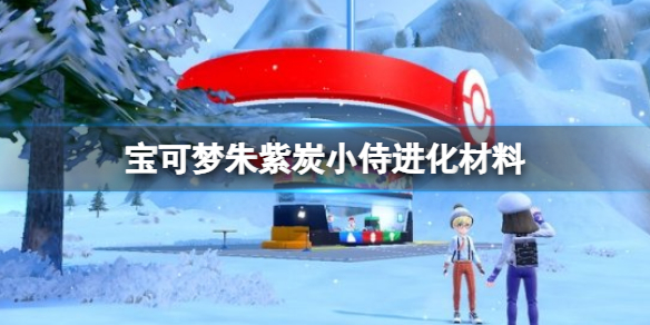 《宝可梦朱紫》炭小侍怎么进化？炭小侍进化材料