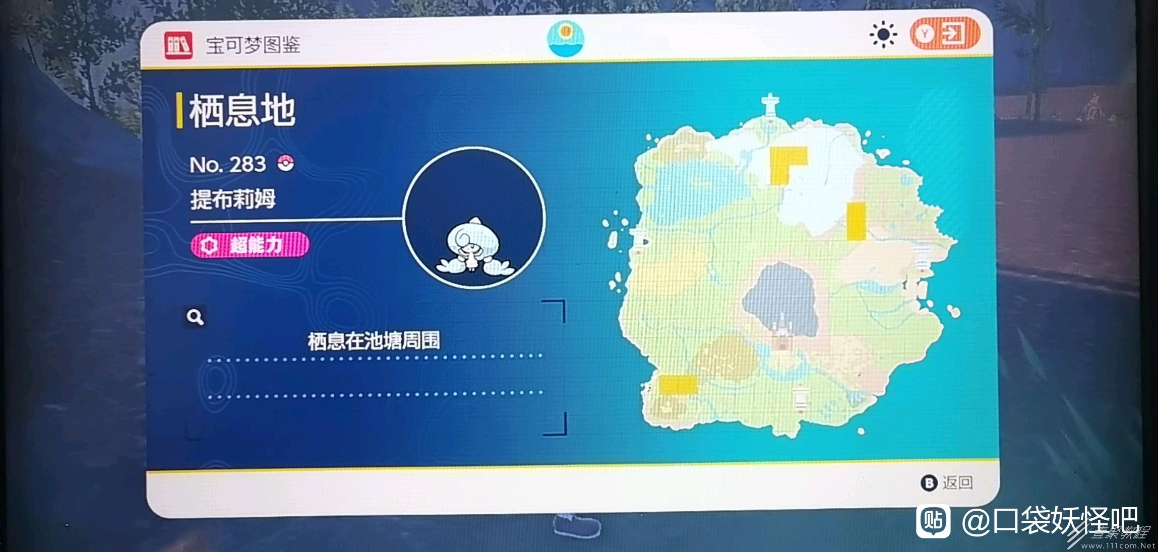 宝可梦朱紫提布莉姆抓法攻略