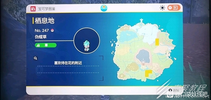 宝可梦朱紫伪螳草抓法攻略