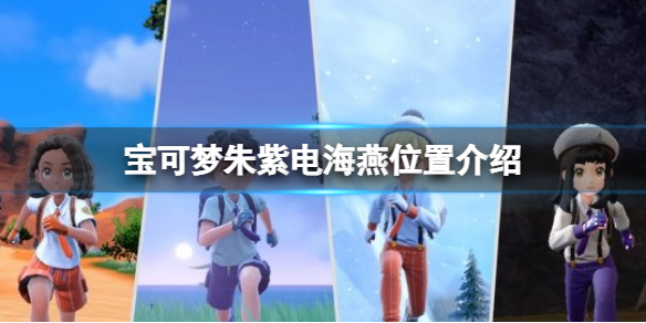 《宝可梦朱紫》电海燕怎么抓？电海燕位置介绍