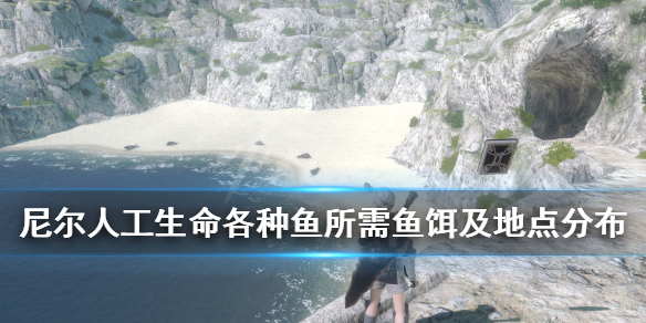 《尼尔人工生命升级版》各种鱼所需鱼饵及地点分布 钓鱼地点有哪些？
