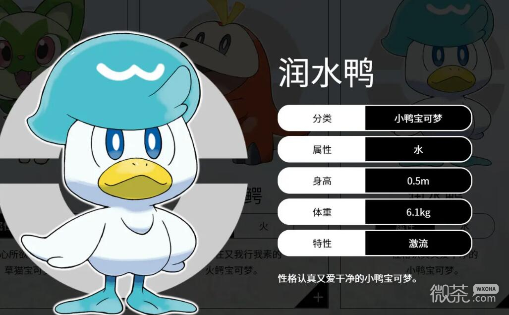 宝可梦朱紫润水鸭选什么性格攻略