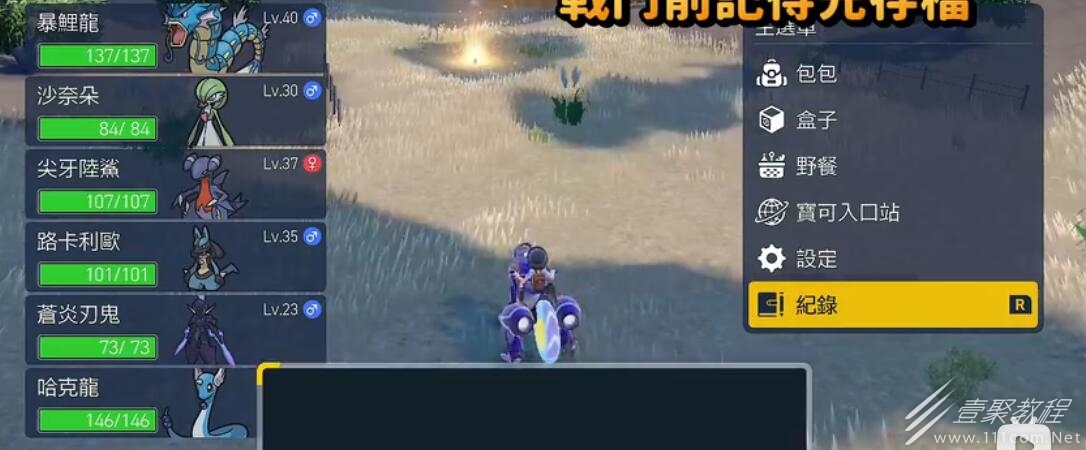 宝可梦朱紫准神队伍搭配推荐