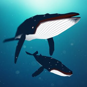 梦幻蓝海下载最新版