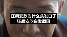 狂飙安欣为什么头发白了-狂飙安欣白发原因