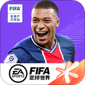 fifa足球世界2023