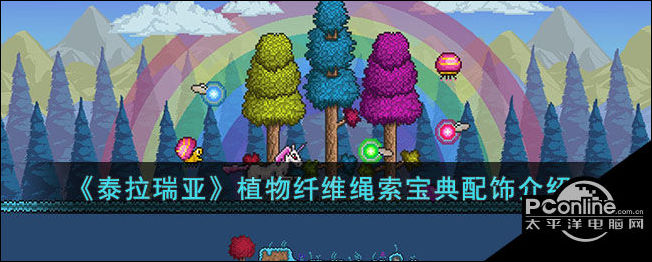 植物纤维绳索宝典在游戏中怎么样