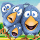 会说话的鸟儿安装包