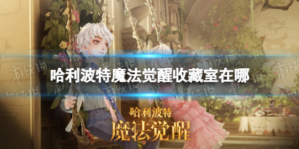 《哈利波特魔法觉醒》收藏室在哪-收藏室位置