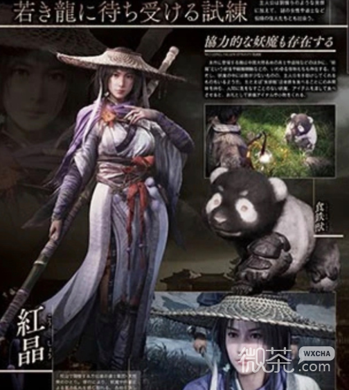 卧龙苍天陨落红晶身份详情