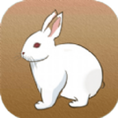 守住小兔子官方版