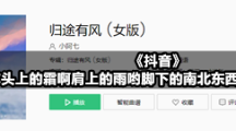 《抖音》风吹你头上的霜啊肩上的雨哟脚下的南北东西是什么歌