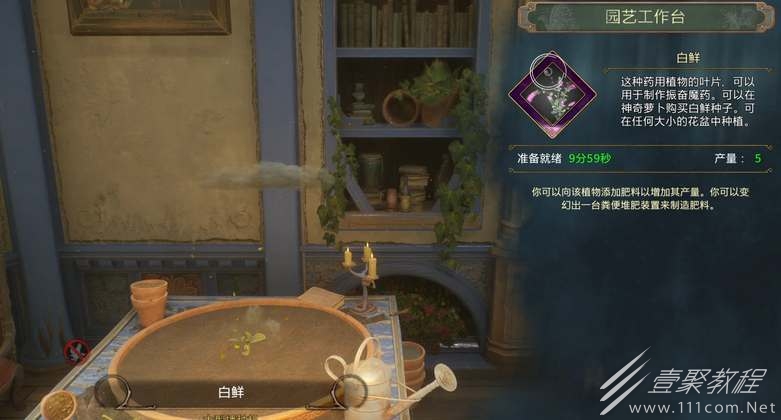 霍格沃兹之遗种植草药怎么玩