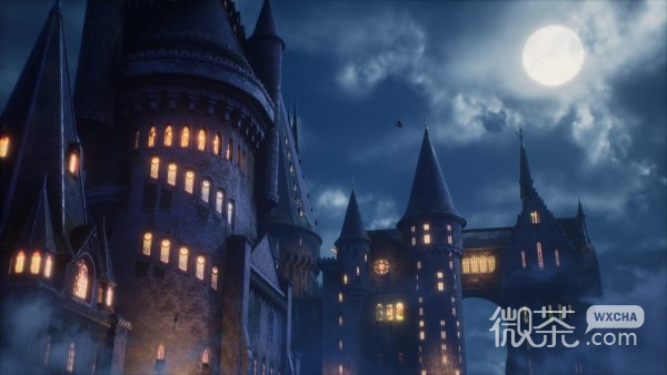 霍格沃茨之遗各揭示门解密教学详情